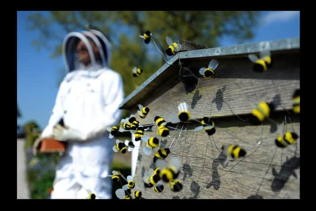 The bee keeper