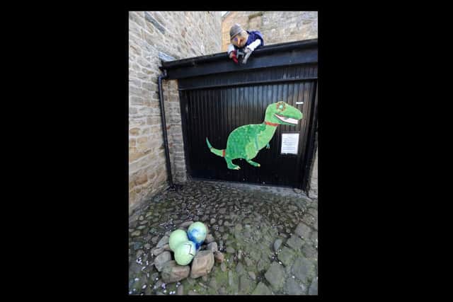 Dinosaur eggs