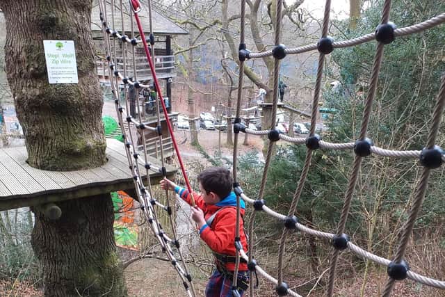 Learning the ropes at Windermere's Treetop Trek