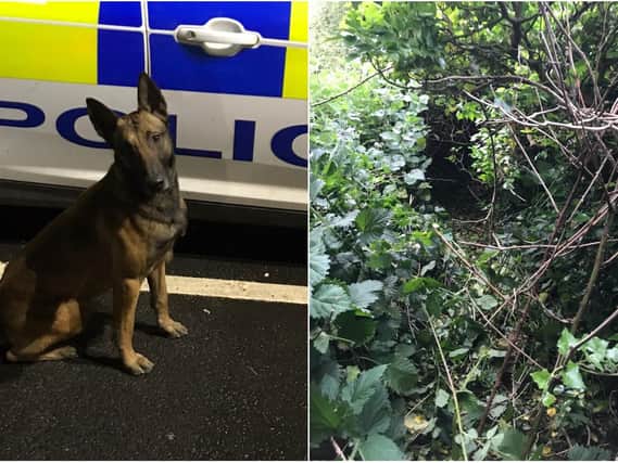 Police dogs helped track suspects through dense undergrowth