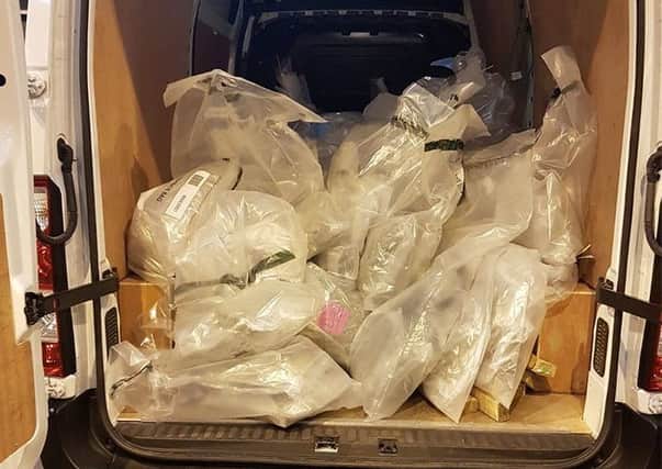 The cannabis seized by police