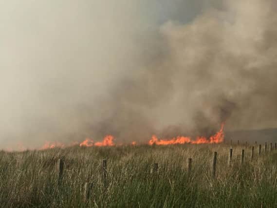 The newsdesks at the Lancashire Post and Chorley Guardian have been flooded with devastating images of the moorland fires