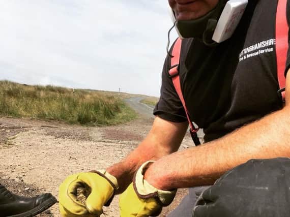 A firefighter rescues a bird from the flames on Winter Hill. Photo: Lancs Fire and Rescue