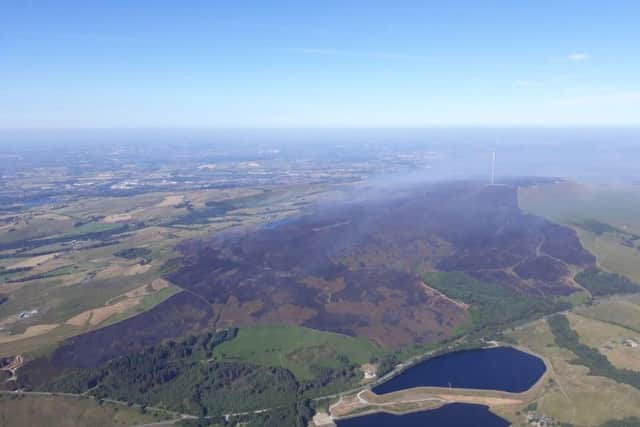 The fire has devastated an 8 square km area at Winter Hill