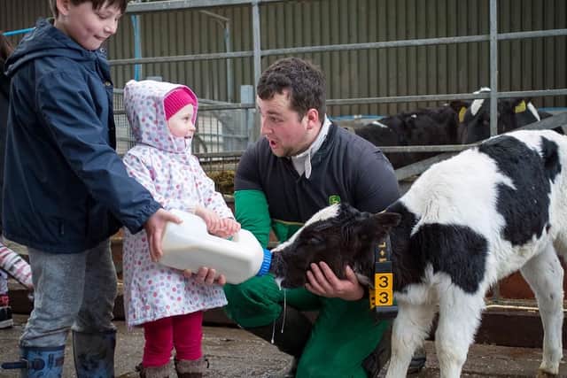 Fun at the farm at Mrs Dowson's in the Ribble Valley