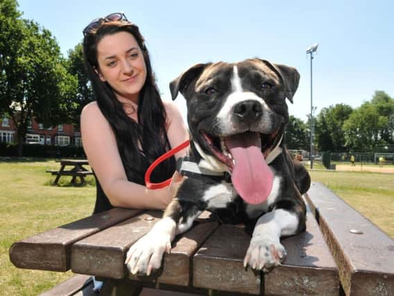 Natalie Winstanley, pictured with her one-year-old Staffie pup Hunter, has organised a protest march through Chorley against PETA's plans to class Staffies as dangerous dogs.