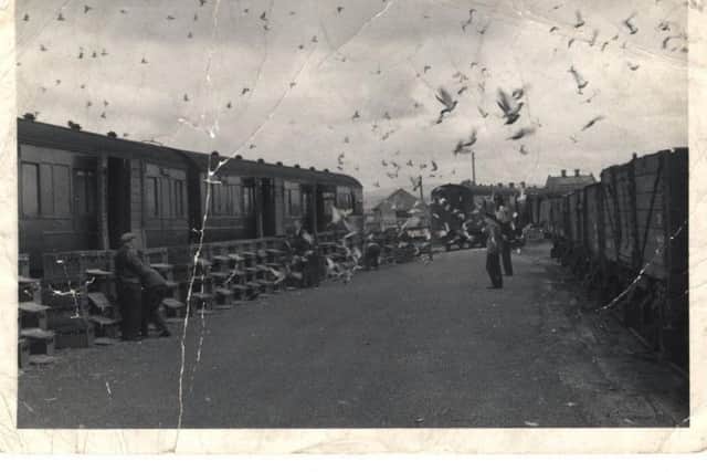 Racing pigeons being released from a train at Preston railway station in the 1950s