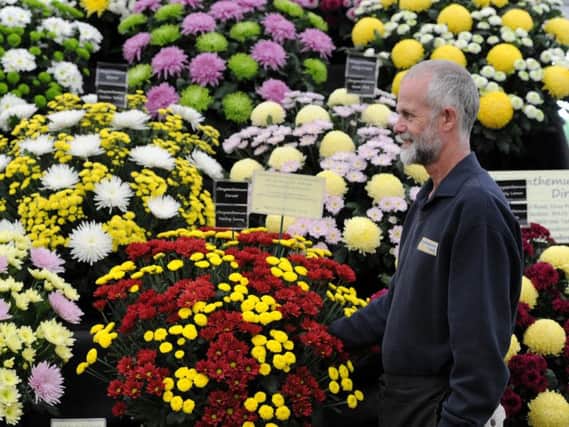 Martyn Flint from Chrysanthemums Direct with his display last year.