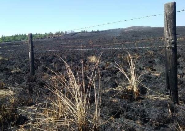 An area of Winter Hill left charred by the blaze.