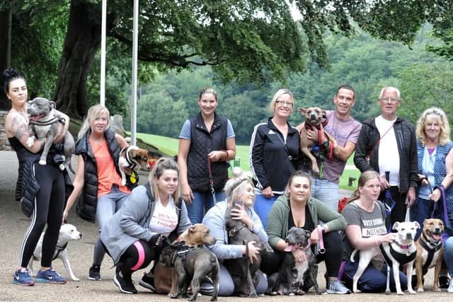 Some of the dog owners with their Staffies