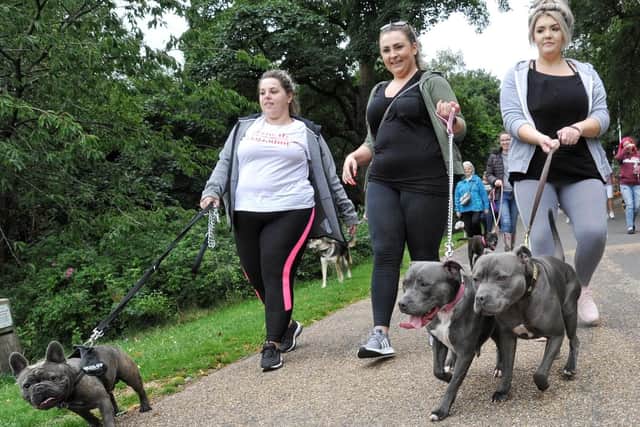 Staffordshire Bull Terrier owners walk from Astley Park Gates, Chorley, to protest at their dogs being described as dangerous