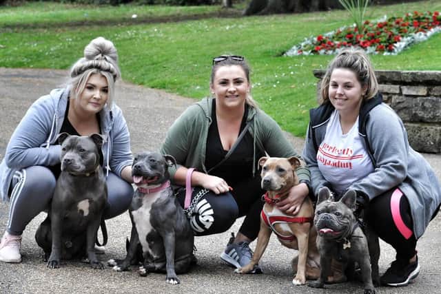 Lucy Slade, Danielle Gould and Emily Bould with their Staffies (photos and video by Julian Brown).