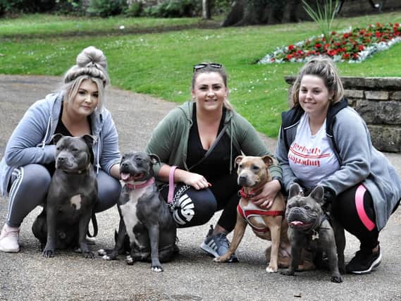 Lucy Slade, Danielle Gould and Emily Bould with their Staffies (photos and video by Julian Brown).
