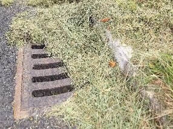 Residents might want grass cuttings cleared from gutters and pavements - but would they be willing to pay?