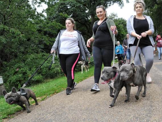 Staffordshire Bull Terrier owners walked from Astley Park Gates, Chorley, to protest at their dogs being described as dangerous