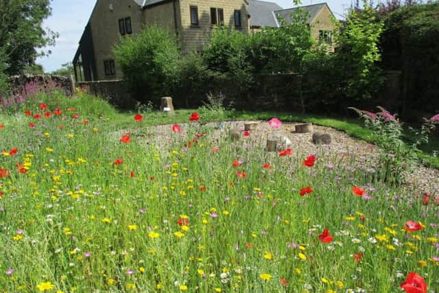 Wildflower meadow at St Mary's Church, Chipping