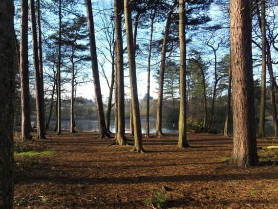 The lake at Cuerden Valley Park