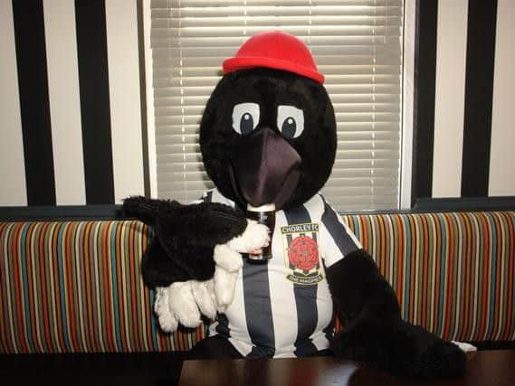 Chorley FC club mascot Victor Magpie enjoying a pint of Guinness in the new club-coloured room
