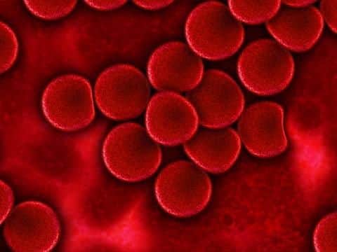 Blood cells