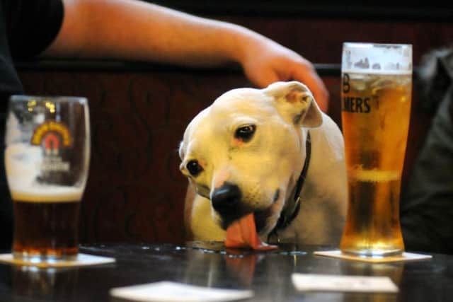 Lancashire's local landlords declare they will welcome canine visitors as Wetherspoons brings in dogs ban