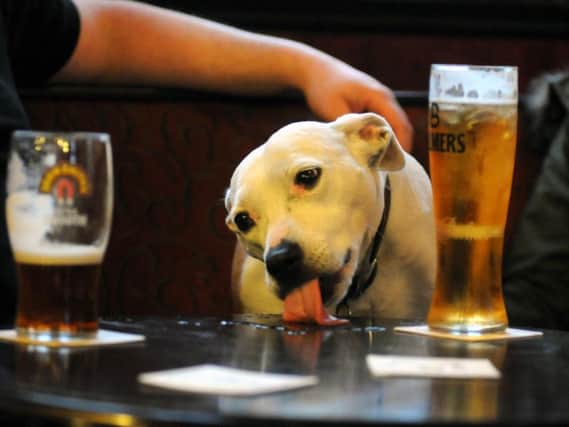 Lancashire's local landlords declare they will welcome canine visitors as Wetherspoons brings in dogs ban