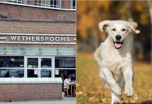 Wetherspoons are banning dogs from all of their pubs