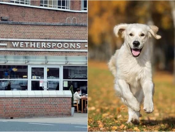 Wetherspoons are banning dogs from all of their pubs