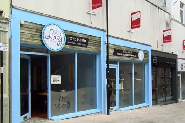 Lazy Cat Cafe