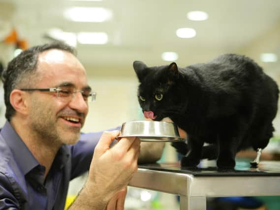Supervet Noel Fitzpatrick will bring his show to Blackpool on Sunday October 14