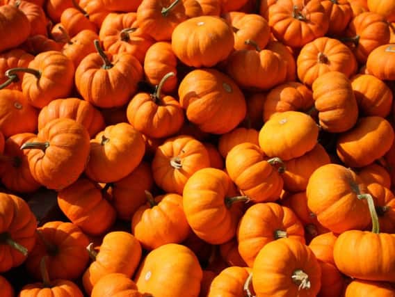 Where you can pick your own Halloween pumpkin in Lancashire