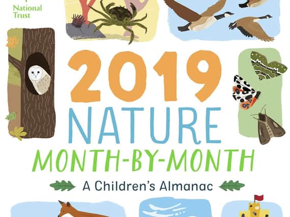 National Trust: 2019 Nature Month-By-Month: A Childrens Almanac by Anna Wilson and Elly Jahnz