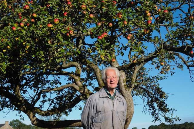 John Hilton with his Dig For Victory Bramley apple tree