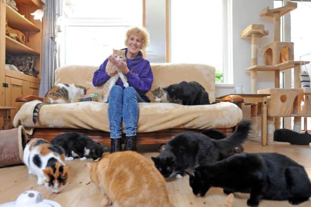 Celia Dean with all her cats