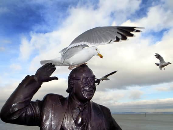 A scheme to stop seagulls causing a mess has been hailed a success