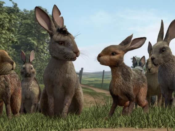 Watership Down. Supplied by BBC