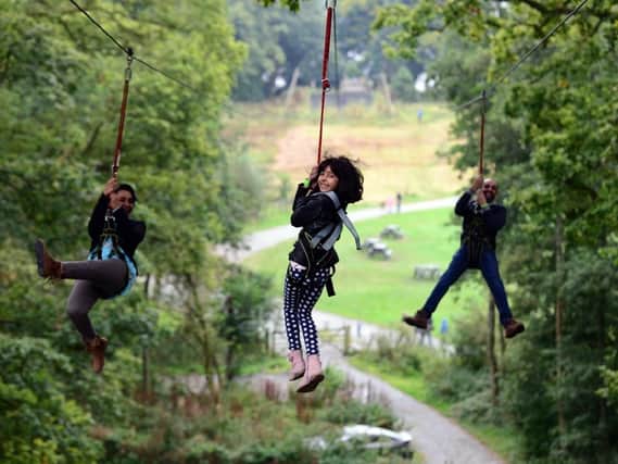Treetop attractions; at Manchester, Windemere and Ripon.