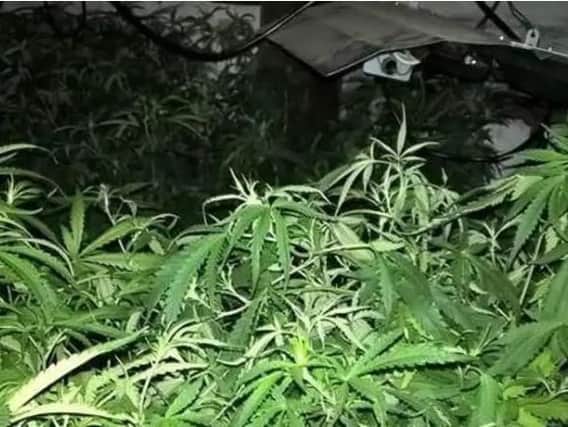A vast network of homes have been used across Lancashire to grow cannabis.