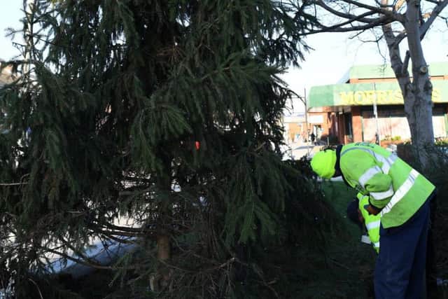 South Ribble Council workmen onsite to repair the tree