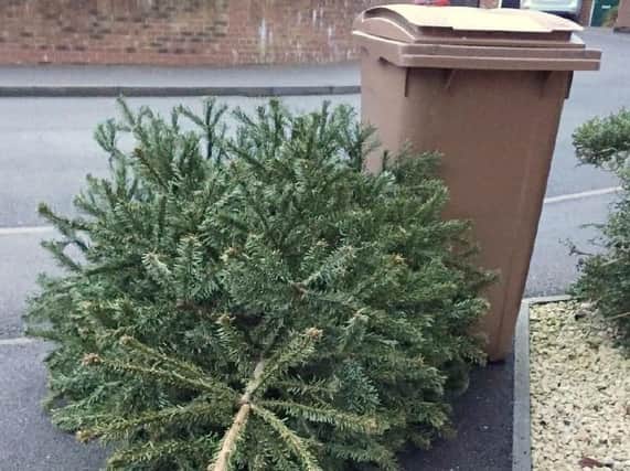 This is how to recycle your Christmas tree in Preston and when you can leave it out