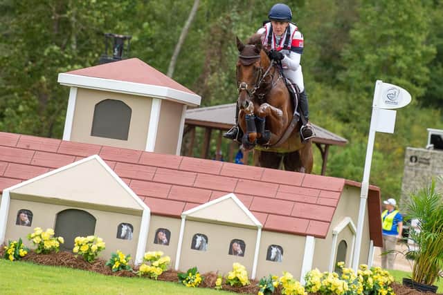Travelling can be stressful for horses Picture: British Equestrian Federation/Jon Stroud Media.