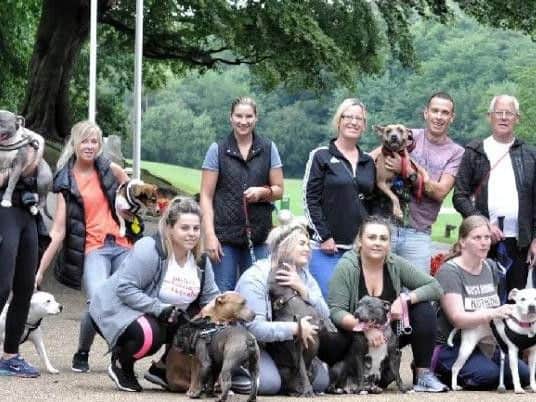 Dozens of Staffie owners took park in a mass dog walk in Astley Park last summer. They wanted to show the public that their dogs' personality is the product of nurture rather than nature.