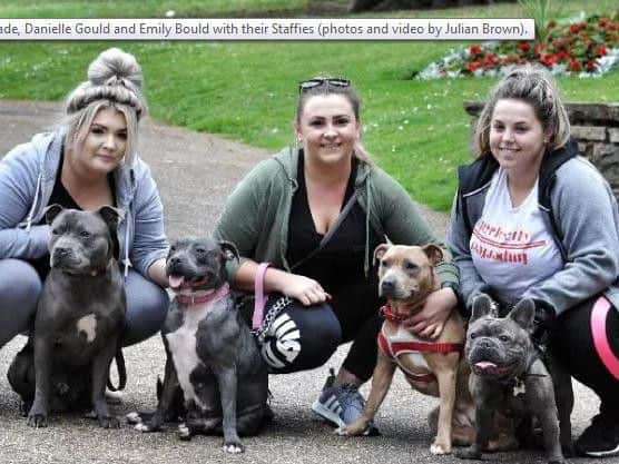 Staffies and their owners took to the pathways and pavements of Chorley to show their frustration at calls to class their dogs as 'dangerous'.