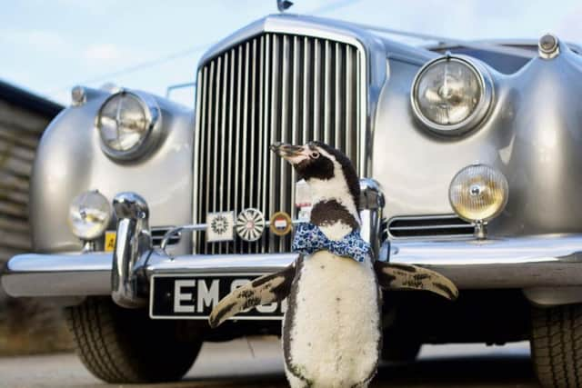 Ferrari,with his wedding car