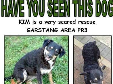 If you spot Kim, please ring/text 07434 587 175 or 07816 492 791 for advice.