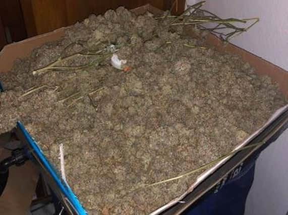 Police estimate the street value of the seized cannabis could be worth approximately 50,000.