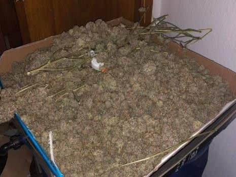 Police raided a home in Preston Road, Clayton-le-Woods near Chorley on Saturday, February 16 and seized 50,000 in cannabis and equipment.