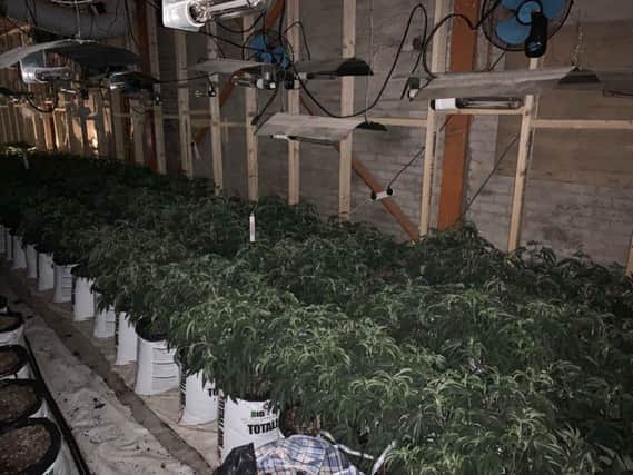 The cannabis factory in Preston, found after a drugs warrant