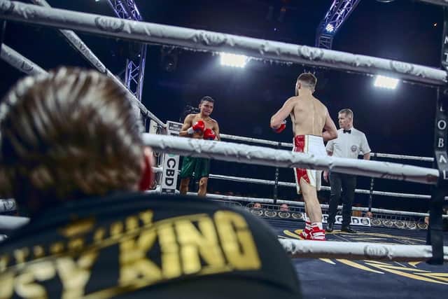 Ben Davison watches on from the corner during Isaac Lowe's latest win. Picture: Scott Rawsthorne for MTK Global
