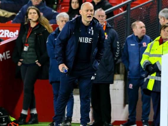 Alex Neil in the dugout at Middlesbrough on Wednesday night