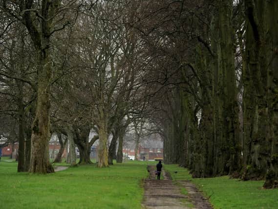 Proposals to reduce the boundary of a conservation area in a Preston park are being floated.